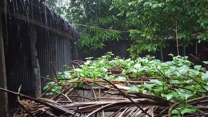 Rain...Gaan & fun revolution