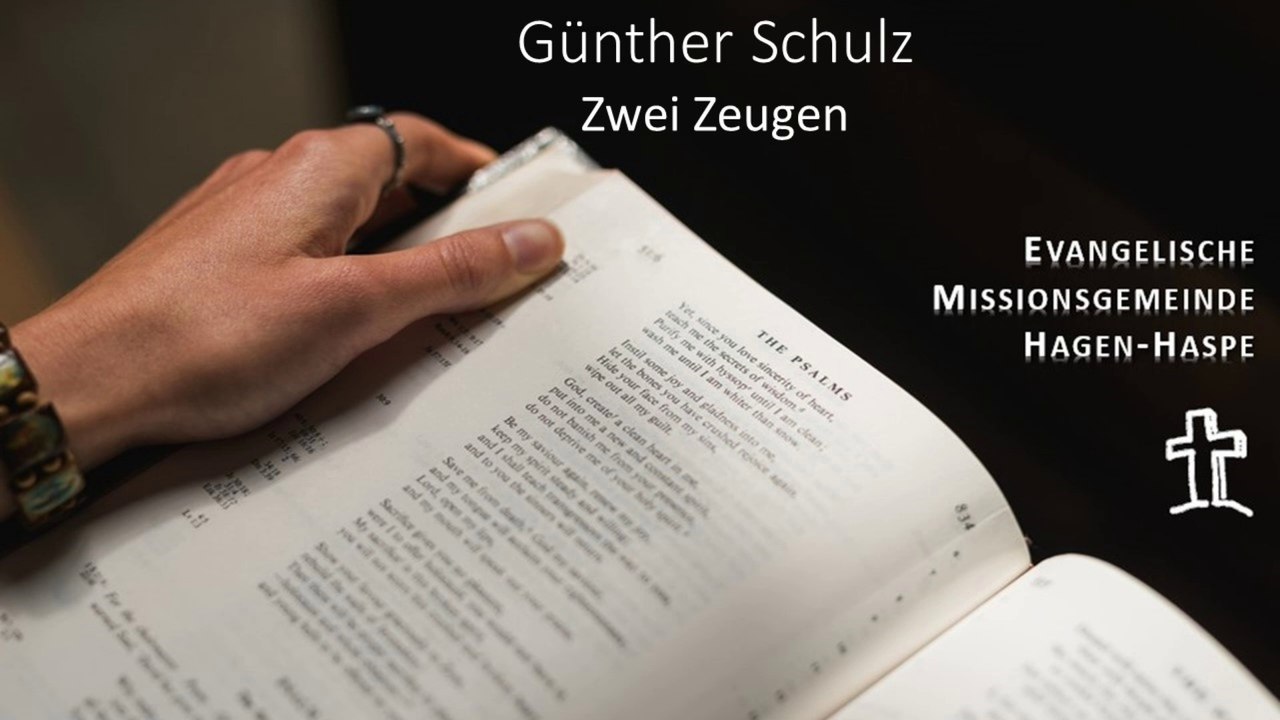 29 - Günther Schulz - Zwei Zeugen