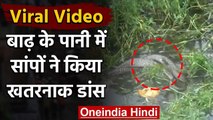 Viral Video : बिहार के सीतामढ़ी में बाढ़ के पानी में सांपों ने किया खतरनाक डांस | वनइंडिया हिंदी