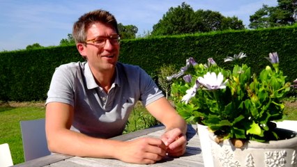 Interview " été" avec Pierre-Yves Derrmagne