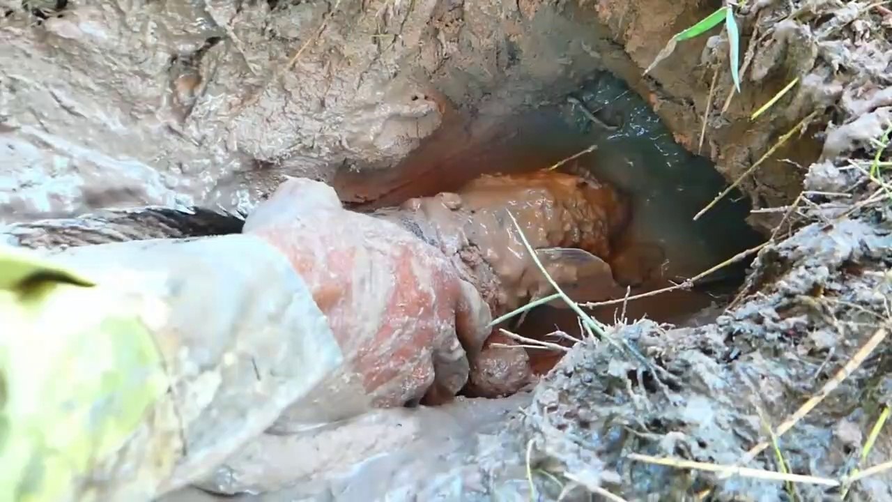 Experiment : Coca Cola and Fanta vs Snakehead Fish in Underground Hole | Animal Trap