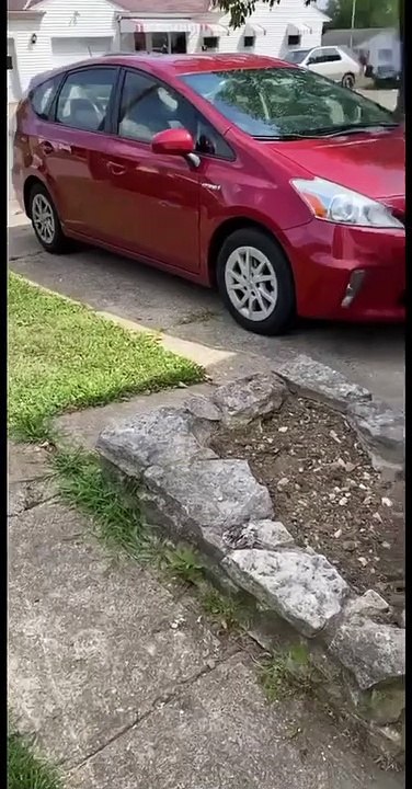 Baby Raccoon Rescued From Tin Can