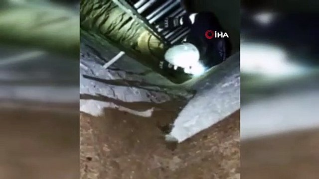 Eski taş değirmen kuyusuna düşen yavru tilkiyi itfaiye ekipleri kurtardı
