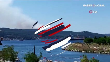 Tarihi Gelibolu Yarımadası yine alevlere teslim oldu