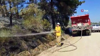 5 ayrı noktadan çıkan Çanakkale yangını kontrol altına alınmaya çalışılıyor