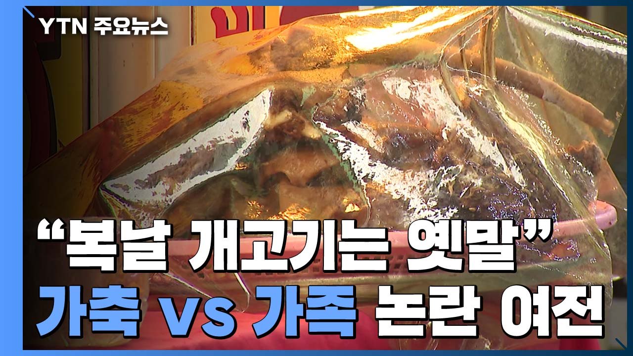 "복날 개고기는 옛말"...'가축 vs 가족' 논란은 여전 / YTN