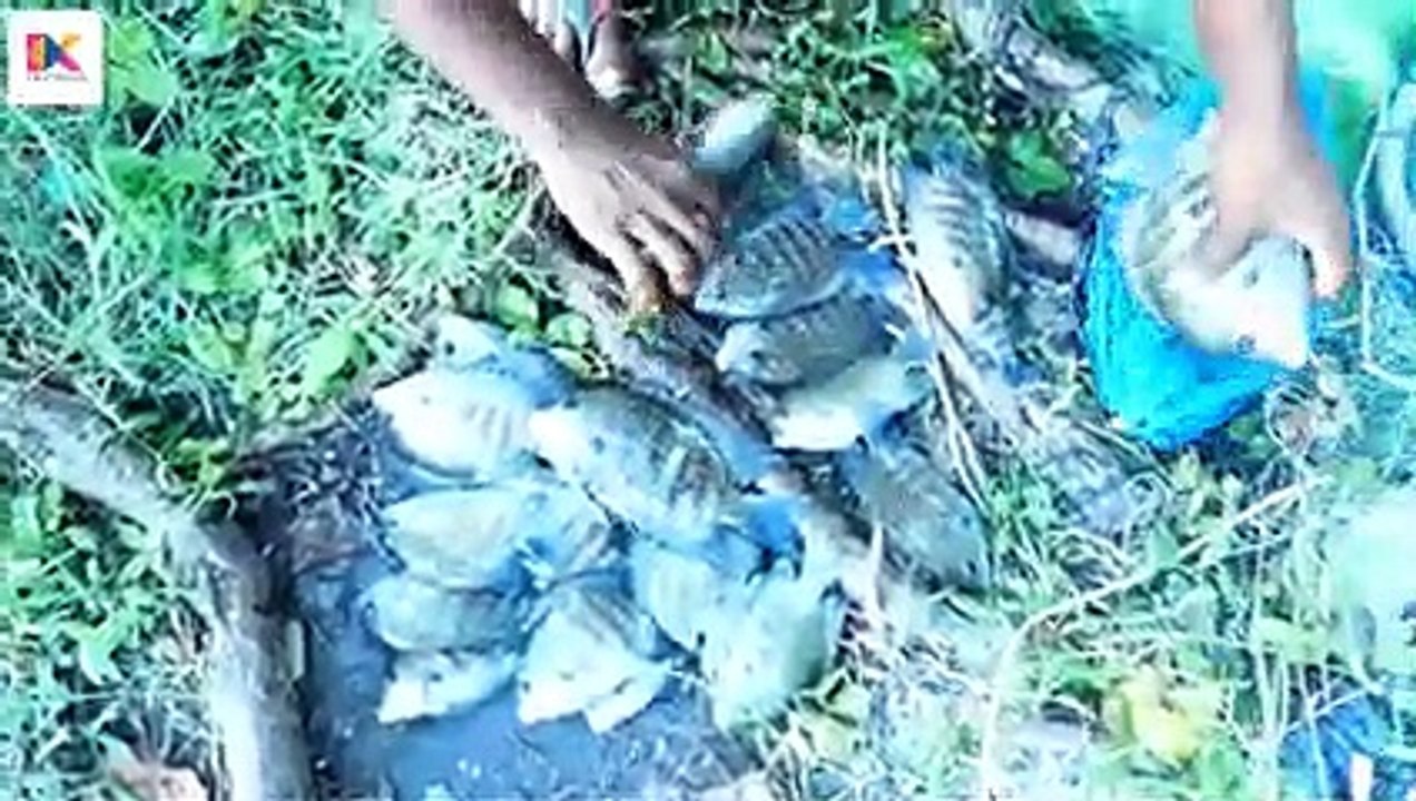 കരിമീൻ പിടിച്ചൊരു പാതിരാ മപ്പാസ്.. ----(240P)_1