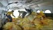 Bihar flood fury: IAF drops food packets in affected areas
