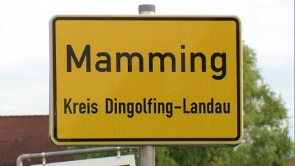 Angst vor der zweiten Welle: 174 Erntehelfer in Bayern infiziert