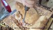 Wood Carving -- How to make Toad Wood Carving --- Top of Wood Art
