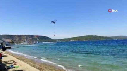 Tarihi Gelibolu Yarımadası yine alevlere teslim oldu