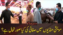 How the SOPs are being followed at Karachi's cattle market?