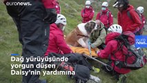 Dağ yürüyüşünde yorgun düşen köpek için kurtarma operasyonu