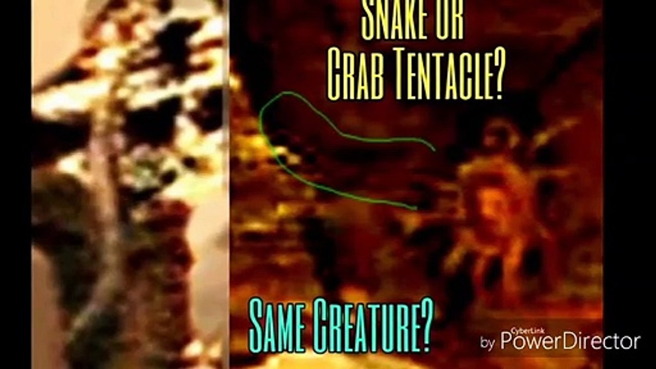 Creatures of Mars Proof of Alien Life on Red Planet. Snake/Crab Alien!