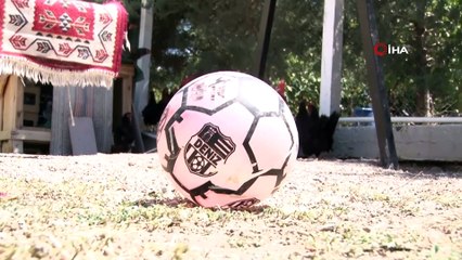 Maradona, Taffarel ve Şampiyon isimli horozların futbol sevdası