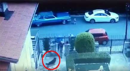 Vahşetin görüntüleri ortaya çıktı