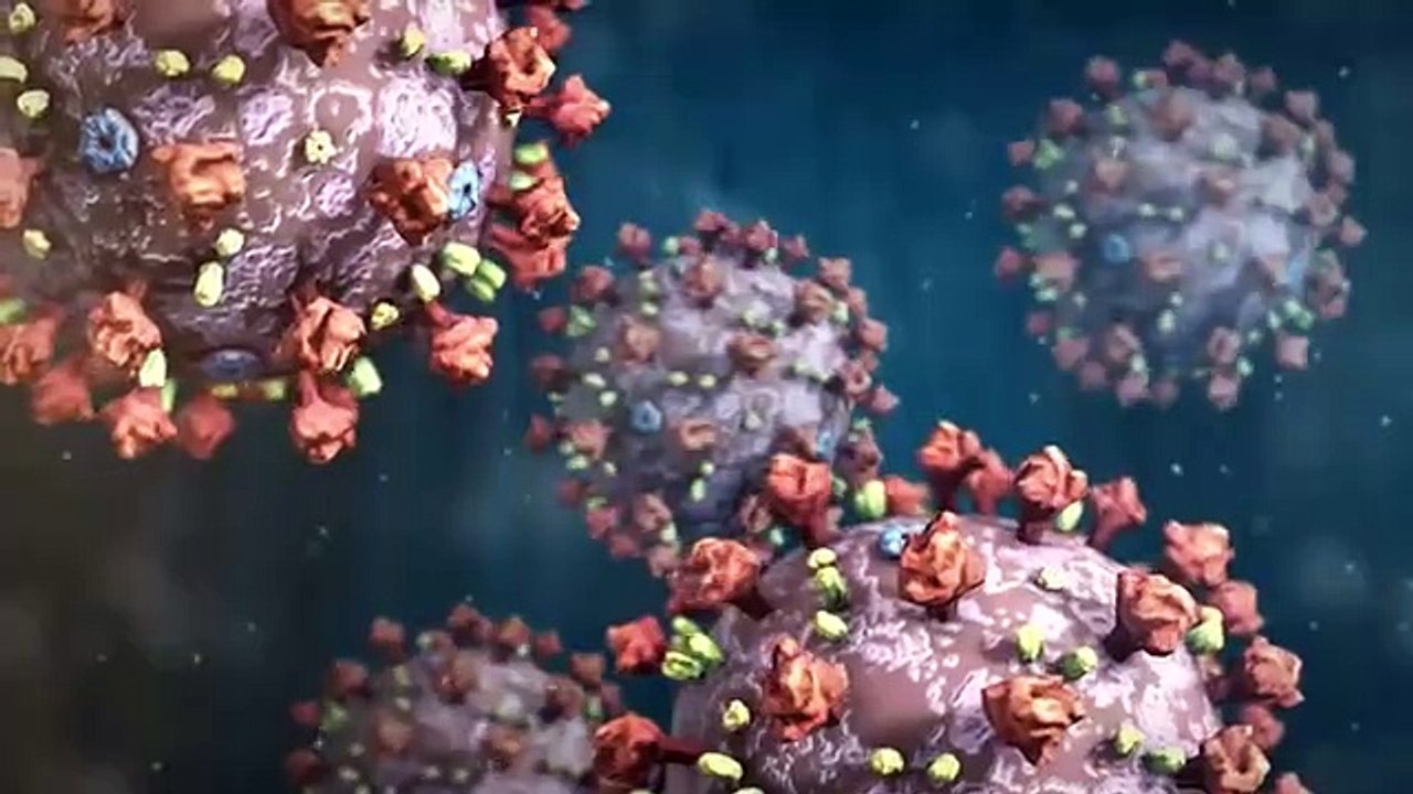 COVID_19 attack on immune system