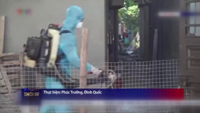 베트남 다낭, 100일 만에 코로나 지역 감염 잇따라 발생 / YTN