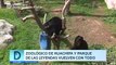 Zoológico de Huachipa y Parque de las Leyendas vuelven con todo | Domingo al Día