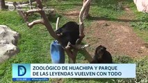 Zoológico de Huachipa y Parque de las Leyendas vuelven con todo | Domingo al Día