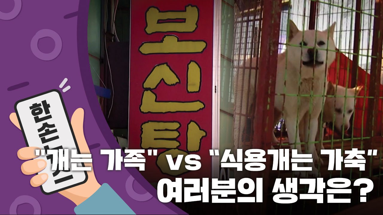 [15초 뉴스] "개는 가족" vs. "식용개는 괜찮아"...여러분의 생각은? / YTN