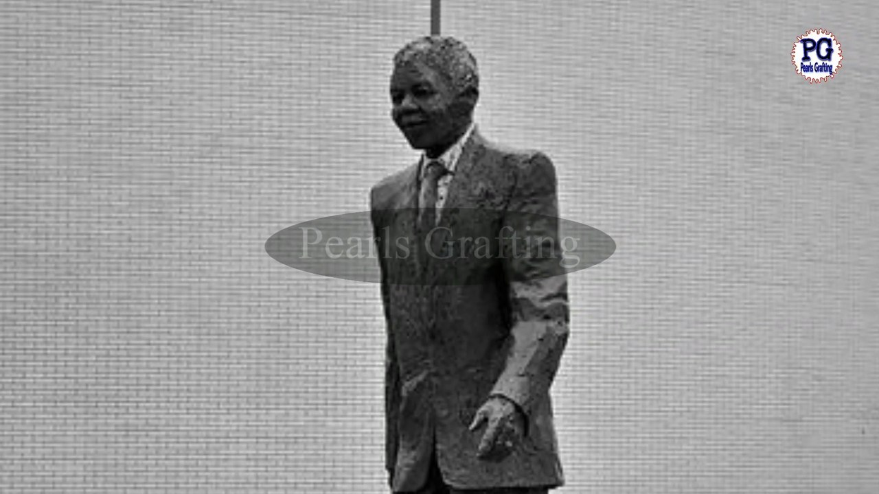 Nelson mandela and racism|Mandela and story of forgiveness|pearls grafting latest vidio|South Africa