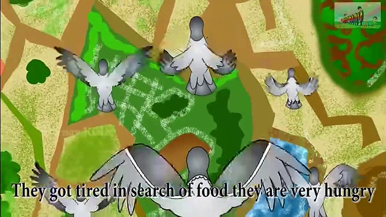 The pigeons and the hunter : best animated moral stories for kids