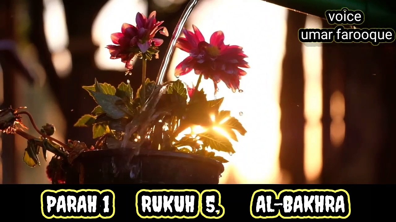Surah bakhra--rukuh 5--سورہ بقرہ--رکوع 5