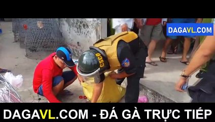 DAGAVL.COM - đá gà trực tiếp. Trường gà không cho mang tiền vào đá gà bị bắt, đá gà thomo, đá gà campuchia