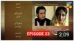 Tarap Episode 23 Promo | Tarap Episode 23 Teaser HUM TV Dramas