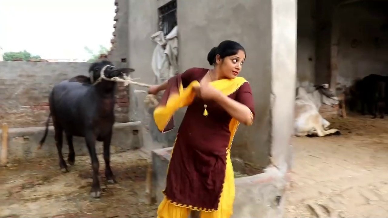 My 4-30 PM Evening village routine Village Life of Punjab India  Indian rural life of Punjab