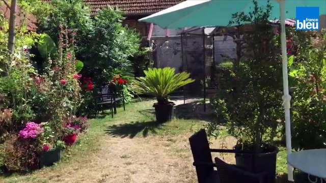 Découverte : la Ferme aux Oiseaux Exotiques à Athis