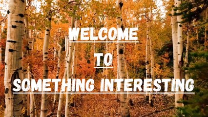 Immunity Boosters in Home