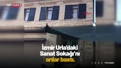 İzmir'de Sanat Sokağı'nı arılar bastı