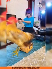 Kiki la petite sorcière fait la cuisine (WTF)