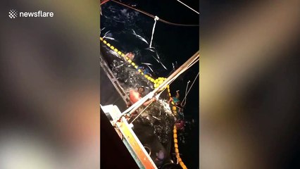 Fishermen release 30 manta rays caught in trawler's net in Thailand