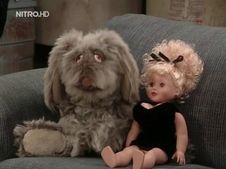 Auf schlimmer und ewig - 082. Softie oder Macho?