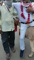 इंदौर में निकली ऐसी बारात, जिसे देखकर हर कोई था दंग, आप भी देखिए