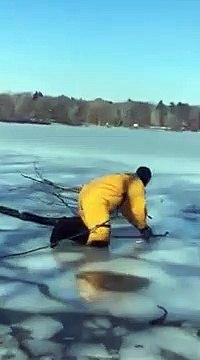 Quand il a vu ce chien pris au piège dans un étang gelé, cet homme n'a pas hésité une seconde !