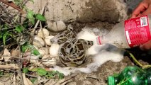 Experiment_: Snake_Pepsi_Coca Cola_Fanta Vs Python Snake In Underground Hole | Animal Trap
