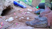 Experiment : Sprite, Coca Cola vs Ranger vs Mentos catch Crocodile -_ Python Snake from Underground Hole | Animal Trap