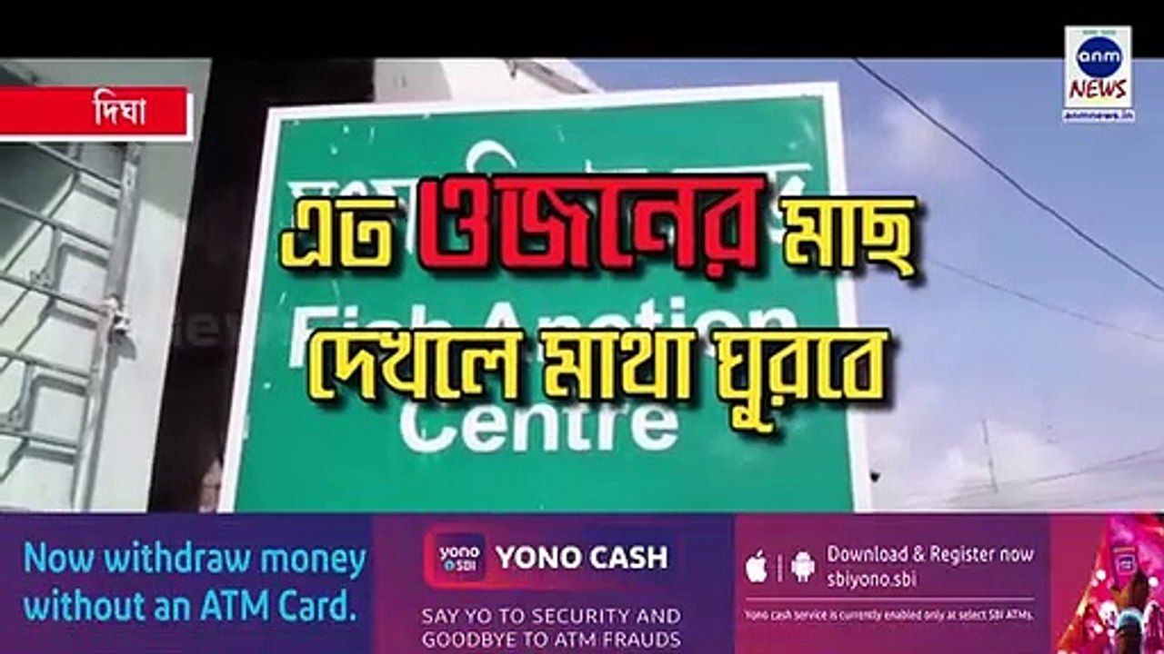 দিঘার মোহনায় দুর্লভ সুস্বাদু মাছ! ওজন জানলে অবাক হবেন