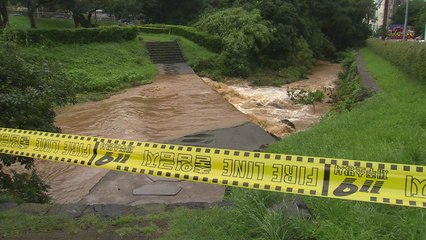 제주서 "불어난 하천물에 행인 떠내려간다" 신고...폭우피해도 3건 접수 / YTN