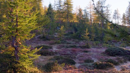 Un Automne dans le Mercantour (Autour de La Montagne Aux Histoires par Sarah Del Ben, épisode 3)