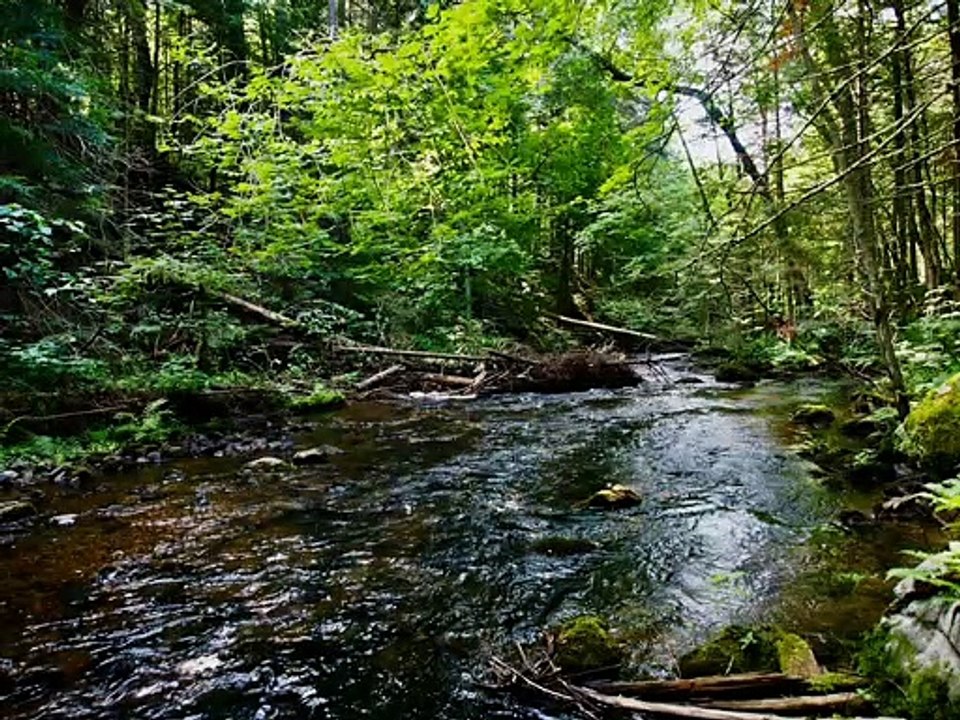 Relaxing Music and best natural views