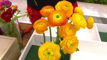 bd-hermosos-arreglos-con-flores-y-cajas-270720