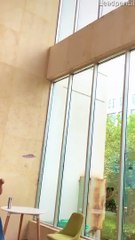 Paper Airplane Flaps its Wings Like a Bird