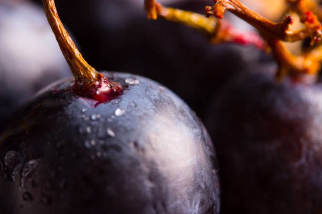 Love Pinot Noir? You Should Be Drinking More German and Austrian Reds