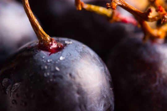 Love Pinot Noir? You Should Be Drinking More German and Austrian Reds