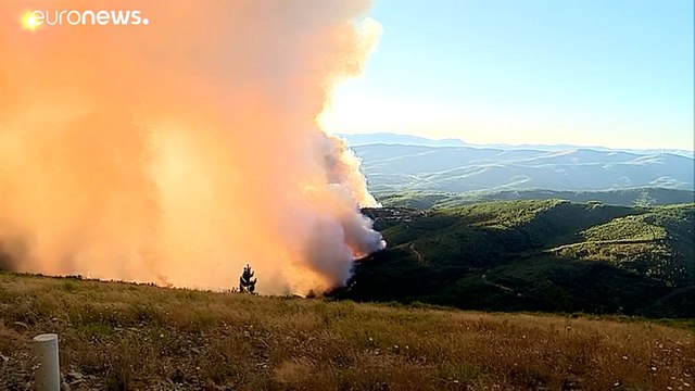 Португалия: лесные пожары удалось взять под контроль